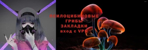 таблы Белокуриха
