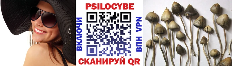 Галлюциногенные грибы GOLDEN TEACHER  Купить где  Саров 